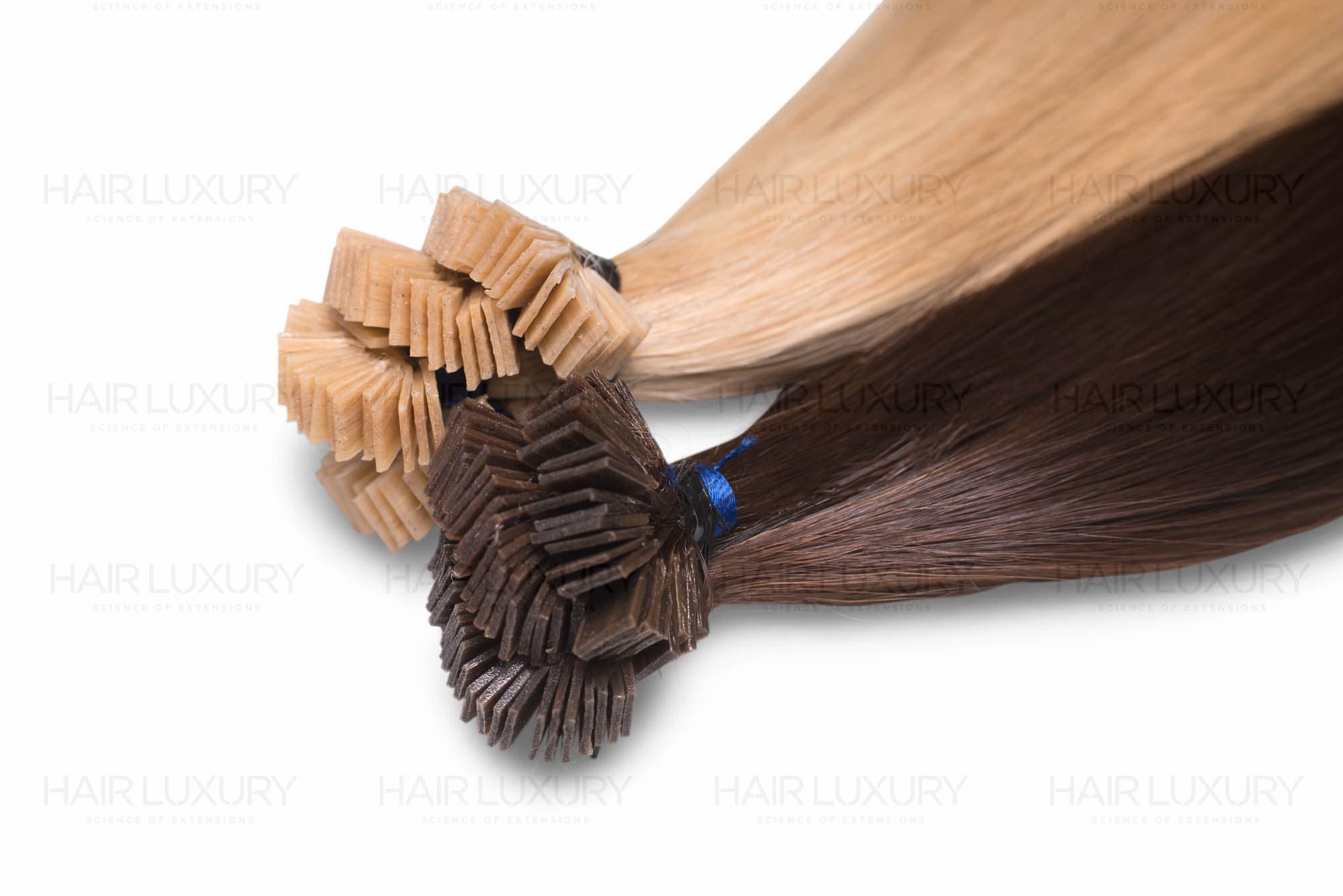 Pointes kératine Hair Luxury — macro produit, point de fixation